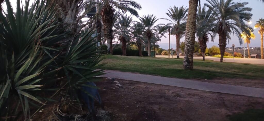 תמונה של עולם מקוון (לא מהאוניברסיטה). צילום: tipp